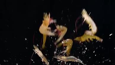 升格基围虾鲜虾食材水产品海鲜视频的预览图